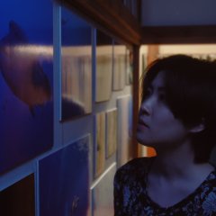 Gunjo Ryoiki Japanese Drama photo