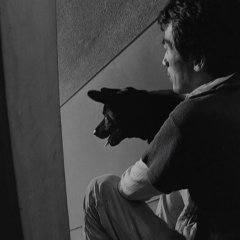 She and He Japanese Movie photo