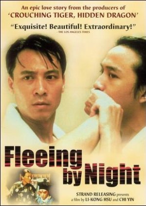 Fleeing By Night (2000) poster