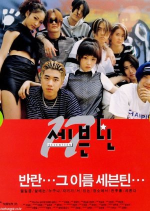 Seventeen (1998) poster