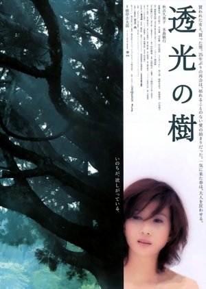 Translucent Tree (2004) poster