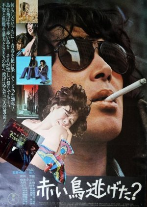 Akai Tori Nigeta? (1973) poster