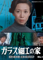 Garasu zaiku no ie Japanese Drama photo