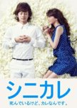 Shinikare japanese drama review