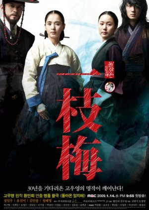 The Return of Iljimae (2009) poster