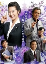 Kyoto Chiken no Onna Season 9 Japanese Drama photo
