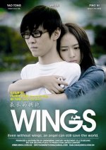 Wings Chinese Movie photo