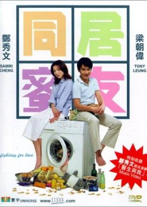 Fighting For Love (2001) poster