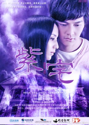 The Purple House (2011) poster