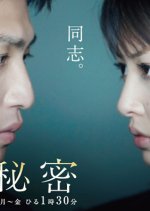 Natsu no Himitsu Japanese Drama photo