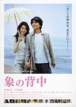 Walking My Life Japanese Movie photo