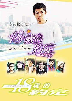 True Love 18 (2002) poster