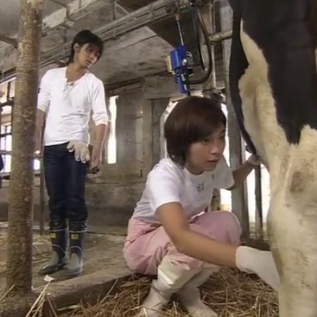 Ushi ni Negai wo: Love and Farm (2007)