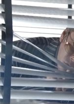 Karei naru Spy Japanese Drama photo