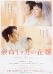 April Bride japanese movie review