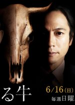 Furueru Ushi Japanese Drama photo