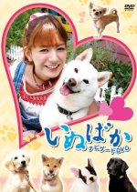 Inubaka Japanese Movie photo