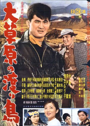 Daisogen no Wataridori  (1960) poster
