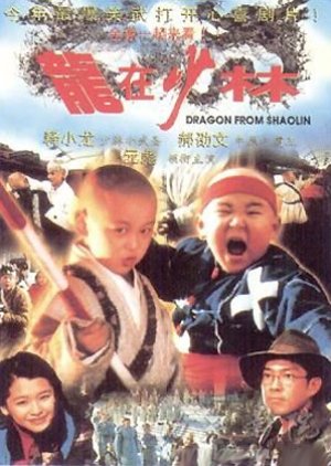 Dragon From Shaolin (1996) poster
