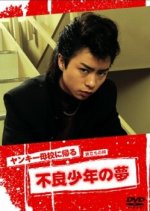 Yankee Bokou ni Kaeru SP Japanese Drama photo