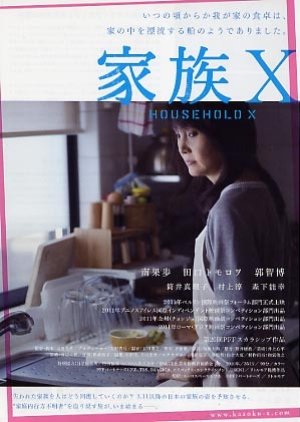 Household X (2010) poster