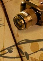 Jungle Fish (2008) photo