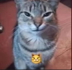 CueTheCredits