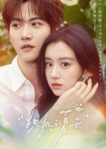 Blazing Summer Chinese TV Program(2026) photo