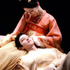 Darren Chen photo