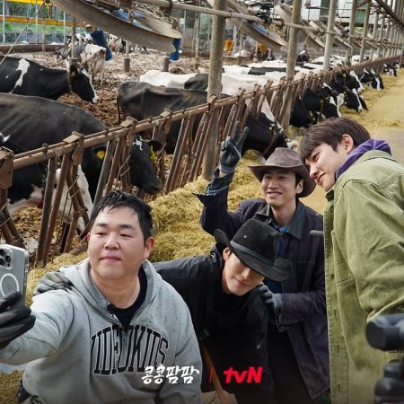 GBRB: Farm Operation - Go Go Farm (2026)