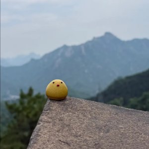 MingHuaLan