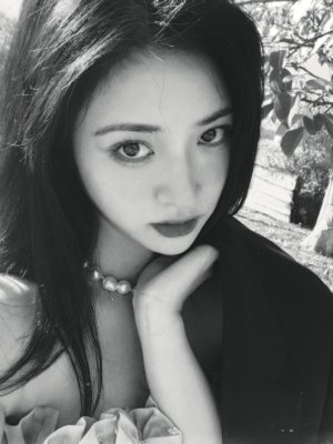 xia xias great dream