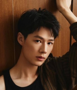 You Lin Li