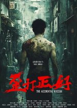 The Accidental Success