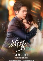 Beauty Warbler Chinese Drama photo