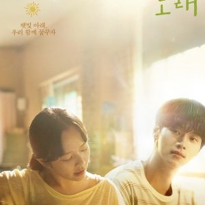 Midnight Sun (2025)