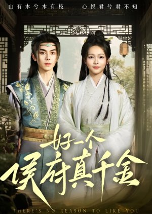 Hao Yi Ge Hou Fu Zhen Qian Jin (2025) poster