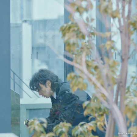 Shibuya Kento