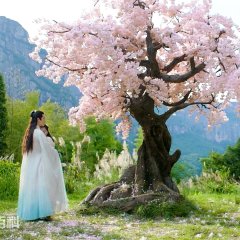 Legend of Snake Chinese Movie(2021) photo