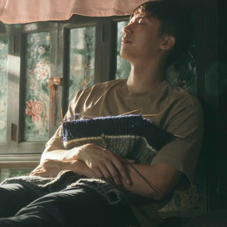 Our Dazzling Days (2026)