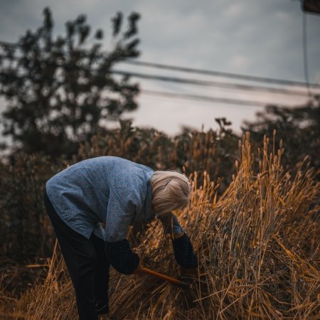 Become a Farmer (2023)