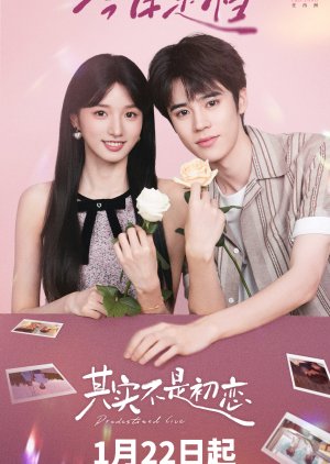 Predestined Love poster
