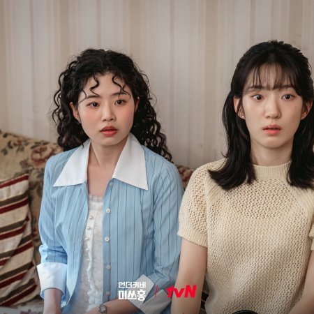 Undercover Miss Hong (2026)