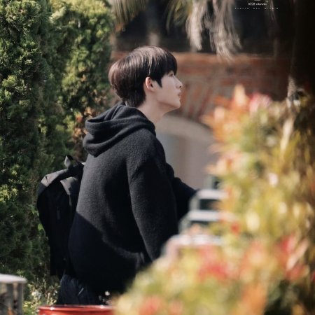 Sunshine through the Rain ()