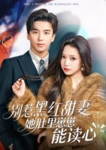 Don't Provoke the Scandalous Wife Chinese Drama(2025) photo