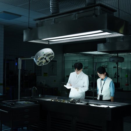 The Truth Within (2025)