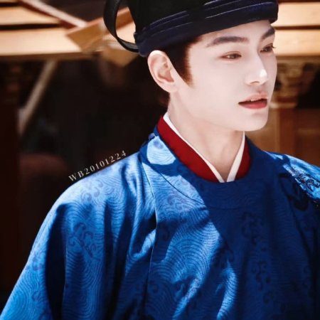 The Palace Stewardess ()