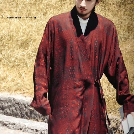 Northern Wei Dynasty ()