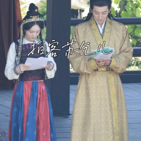 Northern Wei Dynasty ()