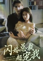 The CEO of Flash Marriage Adores Me Chinese Drama photo